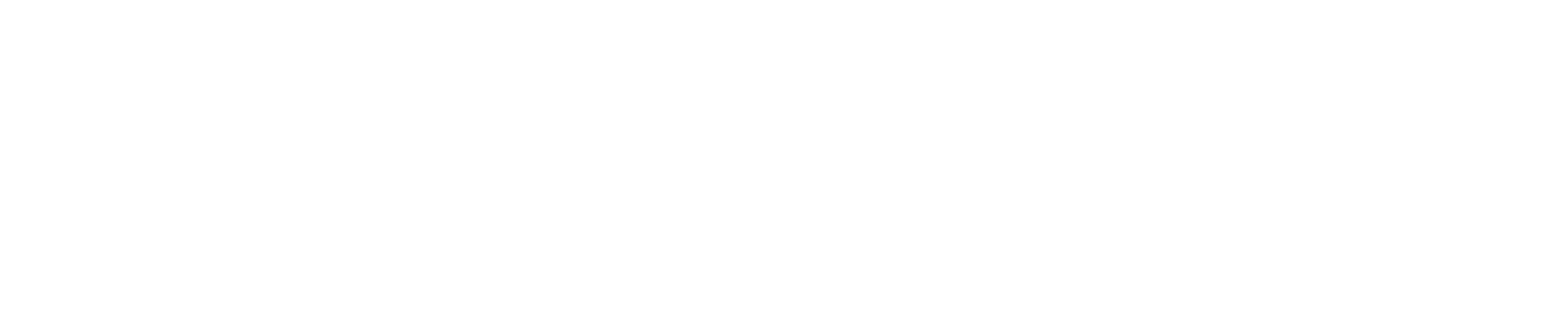 The Butler Institute of American Art Logo