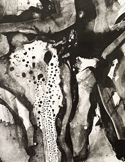 black and and white abstract art with various shapes and ink blots